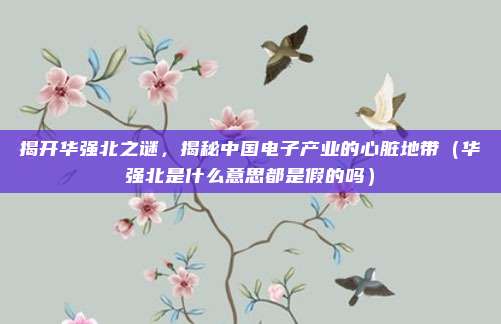 揭开华强北之谜，揭秘中国电子产业的心脏地带（华强北是什么意思都是假的吗）