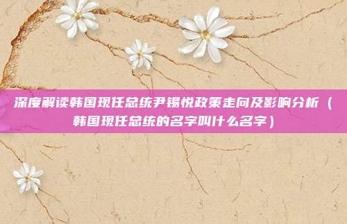 深度解读韩国现任总统尹锡悦政策走向及影响分析（韩国现任总统的名字叫什么名字）