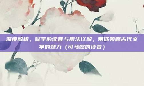 深度解析，懿字的读音与用法详解，带你领略古代文字的魅力（司马懿的读音）