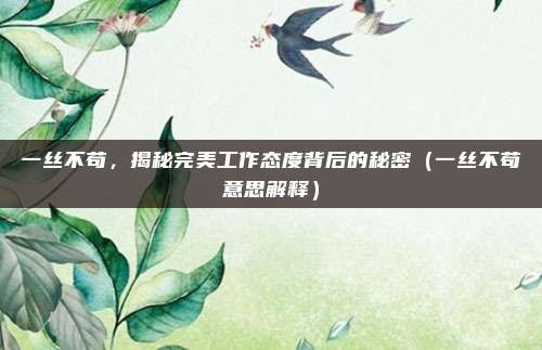 一丝不苟，揭秘完美工作态度背后的秘密（一丝不苟意思解释）