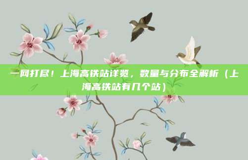 一网打尽！上海高铁站详览，数量与分布全解析（上海高铁站有几个站）