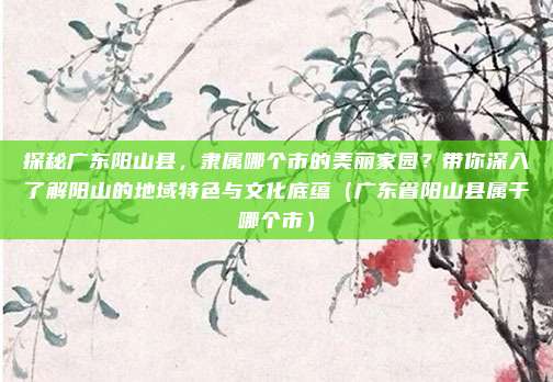 探秘广东阳山县，隶属哪个市的美丽家园？带你深入了解阳山的地域特色与文化底蕴（广东省阳山县属于哪个市）