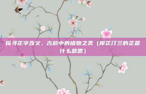 探寻芷字含义，古韵中的植物之美（岸芷汀兰的芷是什么意思）