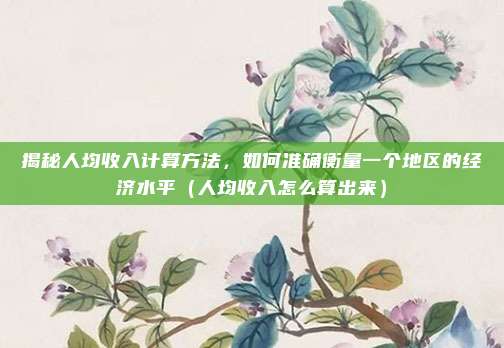 揭秘人均收入计算方法,如何准确衡量一个地区的经济水平(人均收入怎么算出来)