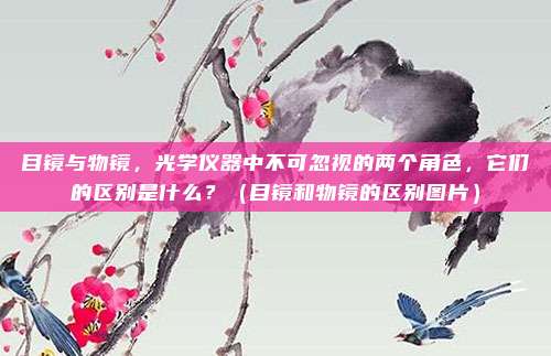 目镜与物镜,光学仪器中不可忽视的两个角色,它们的区别是什么?(目镜和物镜的区别图片)
