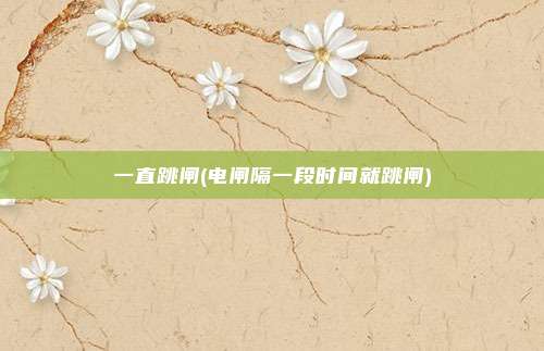 一直跳闸(电闸隔一段时间就跳闸)