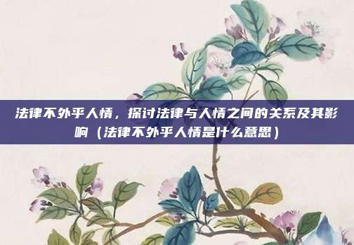 法律不外乎人情,探讨法律与人情之间的关系及其影响(法律不外乎人情是什么意思)