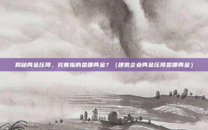 揭秘两金压降,究竟指的是哪两金?(建筑企业两金压降是哪两金)