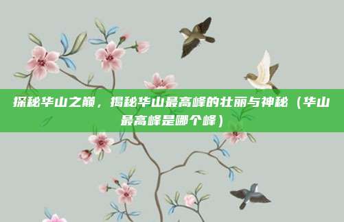 探秘华山之巅，揭秘华山最高峰的壮丽与神秘（华山最高峰是哪个峰）