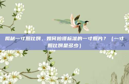 揭秘一寸照比例，如何拍摄标准的一寸照片？（一寸照比例是多少）