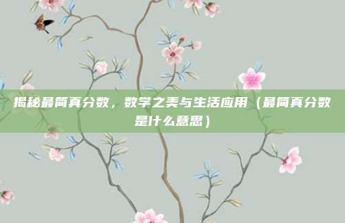 揭秘最简真分数，数学之美与生活应用（最简真分数是什么意思）