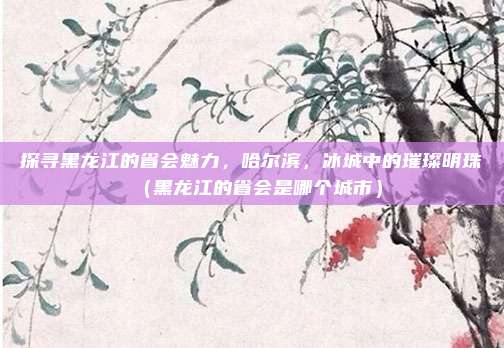 探寻黑龙江的省会魅力，哈尔滨，冰城中的璀璨明珠（黑龙江的省会是哪个城市）