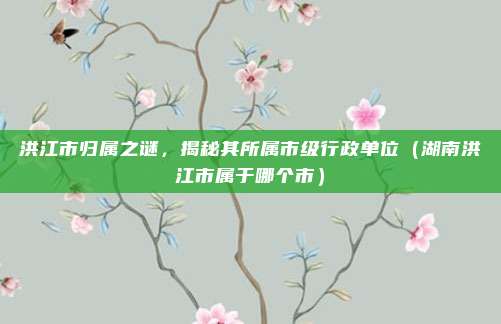 洪江市归属之谜，揭秘其所属市级行政单位（湖南洪江市属于哪个市）