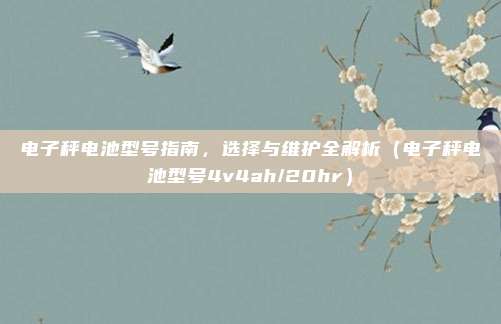电子秤电池型号指南，选择与维护全解析（电子秤电池型号4v4ah/20hr）