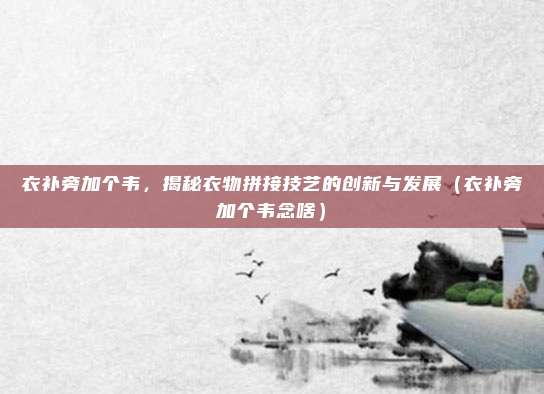 衣补旁加个韦,揭秘衣物拼接技艺的创新与发展(衣补旁加个韦念啥)