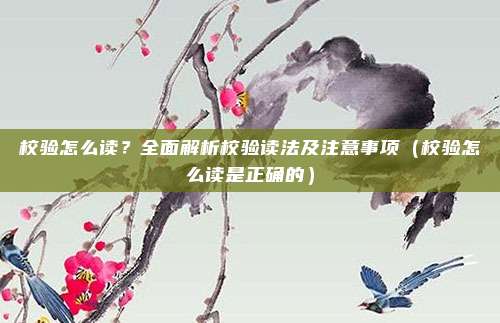 校验怎么读?全面解析校验读法及注意事项(校验怎么读是正确的)
