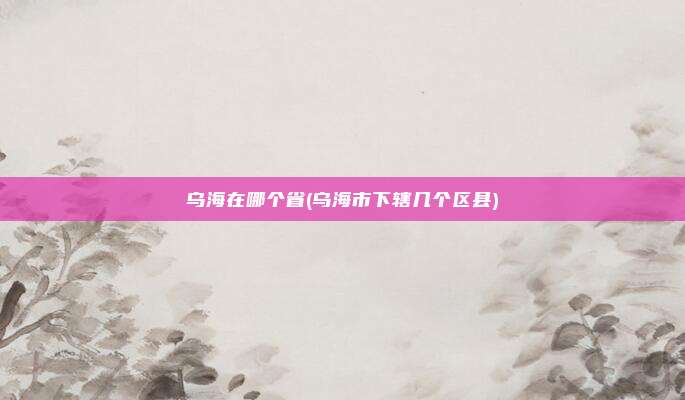 乌海在哪个省(乌海市下辖几个区县)