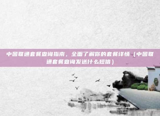 中国联通套餐查询指南，全面了解你的套餐详情（中国联通套餐查询发送什么短信）