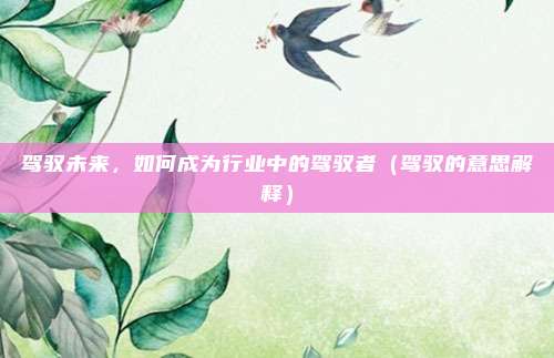 驾驭未来，如何成为行业中的驾驭者（驾驭的意思解释）