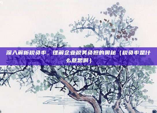 深入解析税负率，理解企业税务负担的奥秘（税负率是什么意思啊）