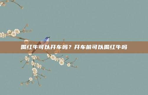 喝红牛可以开车吗?开车前可以喝红牛吗