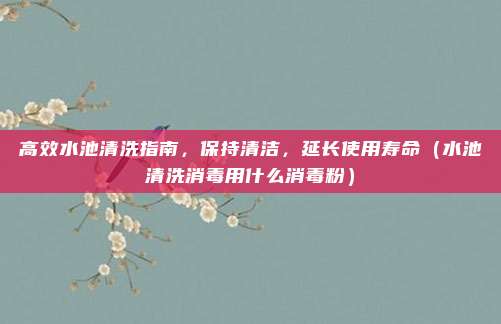 高效水池清洗指南，保持清洁，延长使用寿命（水池清洗消毒用什么消毒粉）