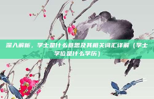 深入解析,学士是什么意思及其相关词汇详解(学士学位是什么学历)