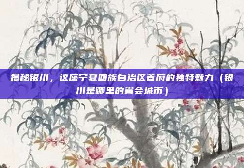 揭秘银川,这座宁夏回族自治区首府的独特魅力(银川是哪里的省会城市)
