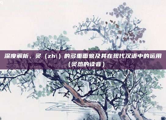 深度解析,炙(zhì)的多重面貌及其在现代汉语中的运用(炙热的读音)