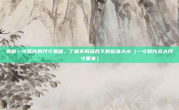 揭秘一寸照片的尺寸奥秘,了解不同场合下的标准大小(一寸照片多大尺寸厘米)