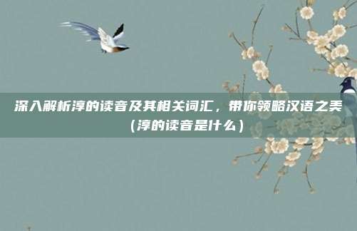 深入解析淳的读音及其相关词汇,带你领略汉语之美(淳的读音是什么)