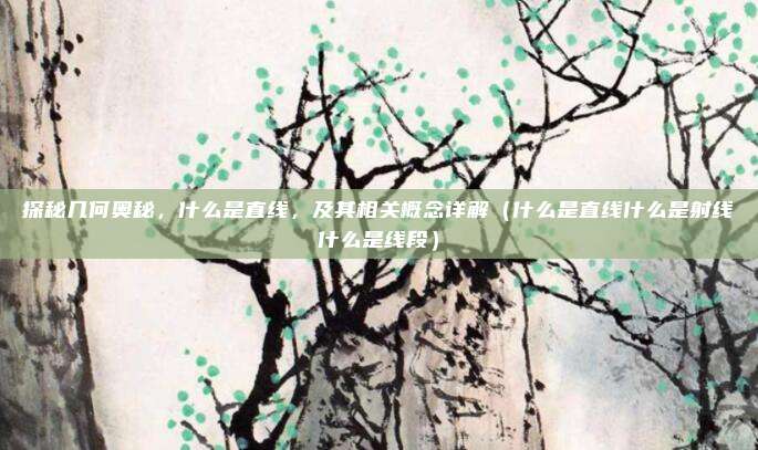 探秘几何奥秘，什么是直线，及其相关概念详解（什么是直线什么是射线什么是线段）