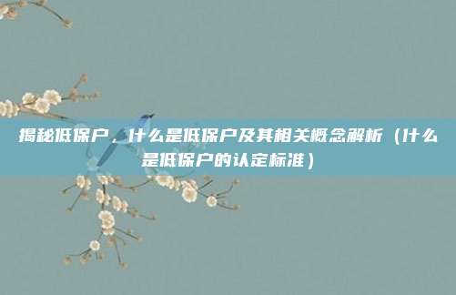 揭秘低保户，什么是低保户及其相关概念解析（什么是低保户的认定标准）
