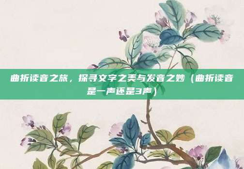 曲折读音之旅，探寻文字之美与发音之妙（曲折读音是一声还是3声）