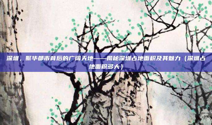 深圳，繁华都市背后的广阔天地——揭秘深圳占地面积及其魅力（深圳占地面积多大）