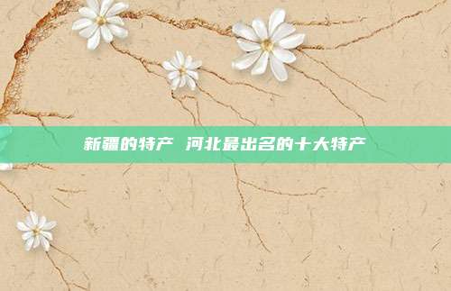 新疆的特产 河北最出名的十大特产
