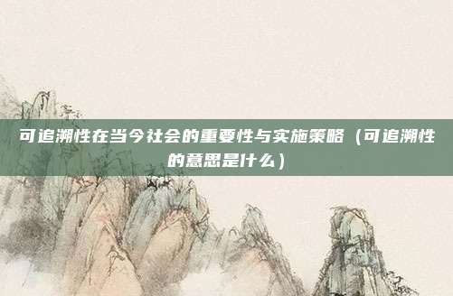 可追溯性在当今社会的重要性与实施策略（可追溯性的意思是什么）
