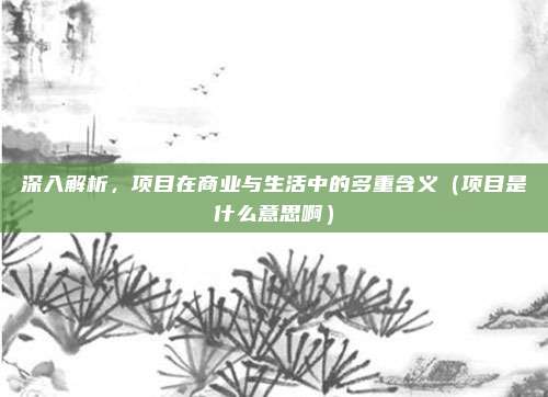 深入解析，项目在商业与生活中的多重含义（项目是什么意思啊）