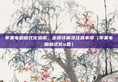 苹果电脑格式化指南，步骤详解及注意事项（苹果电脑格式化u盘）