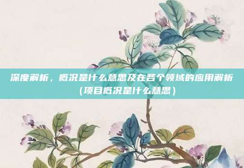 深度解析，概况是什么意思及在各个领域的应用解析（项目概况是什么意思）