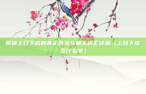 揭秘上日下成的真正含义与相关词汇详解（上日下成念什么字）