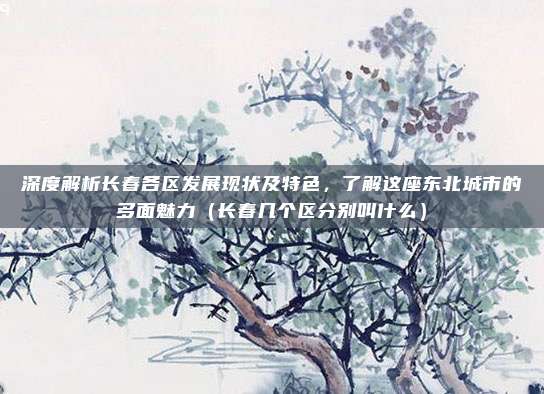 深度解析长春各区发展现状及特色，了解这座东北城市的多面魅力（长春几个区分别叫什么）