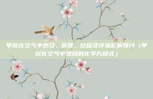 甲烷在空气中燃烧，原理、过程及环境影响探讨（甲烷在空气中燃烧的化学方程式）