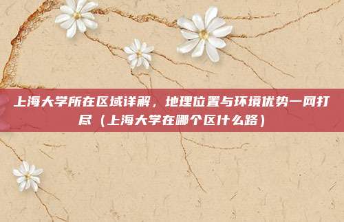 上海大学所在区域详解，地理位置与环境优势一网打尽（上海大学在哪个区什么路）