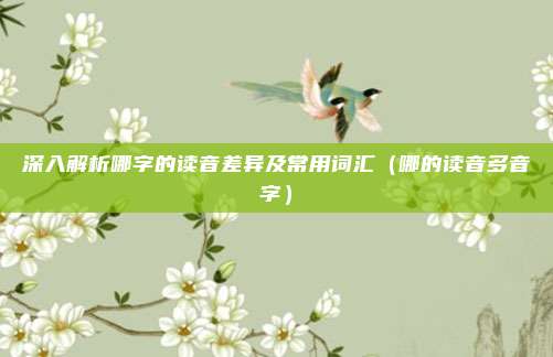 深入解析哪字的读音差异及常用词汇（哪的读音多音字）