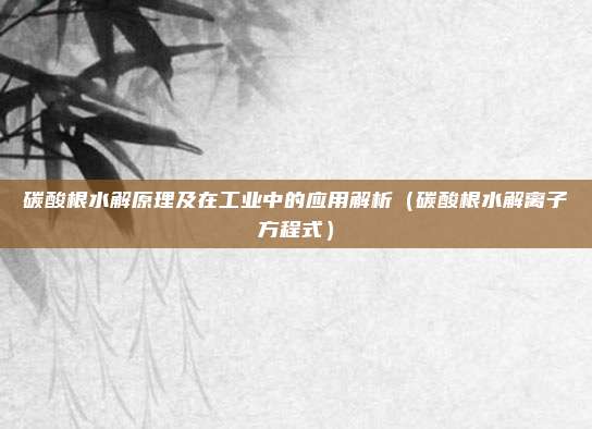 碳酸根水解原理及在工业中的应用解析（碳酸根水解离子方程式）