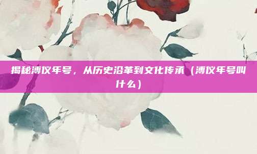 揭秘溥仪年号，从历史沿革到文化传承（溥仪年号叫什么）