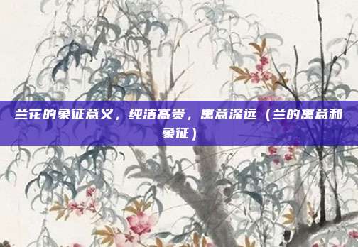 兰花的象征意义，纯洁高贵，寓意深远（兰的寓意和象征）