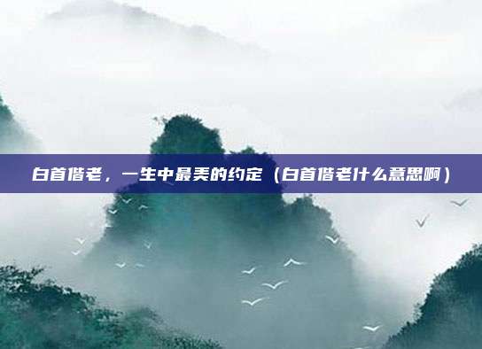 白首偕老，一生中最美的约定（白首偕老什么意思啊）