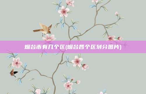 烟台市有几个区(烟台各个区划分图片)